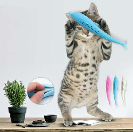 cat-toothbrush-toy-droppzza.jpg