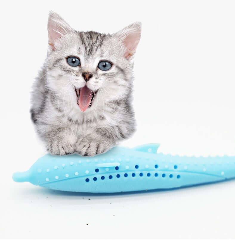 cat-toothbrush-toy-droppzza.jpg