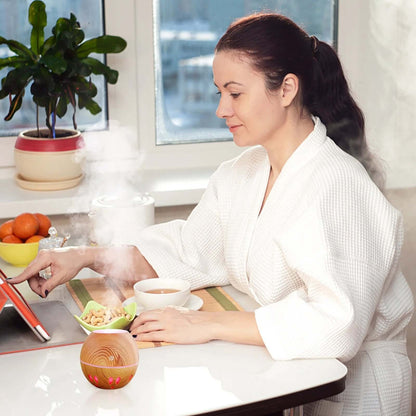 DROPPZZA Cool Mist Humidifier Type of Large Mist Aroma Diffuser LED Color Light Conversion Aroma Humidifier for Bedroom Room Office Car Living Room and Dining Room Living Room