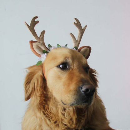 christmas-pet-cat-dog-hat-droppzza.jpg