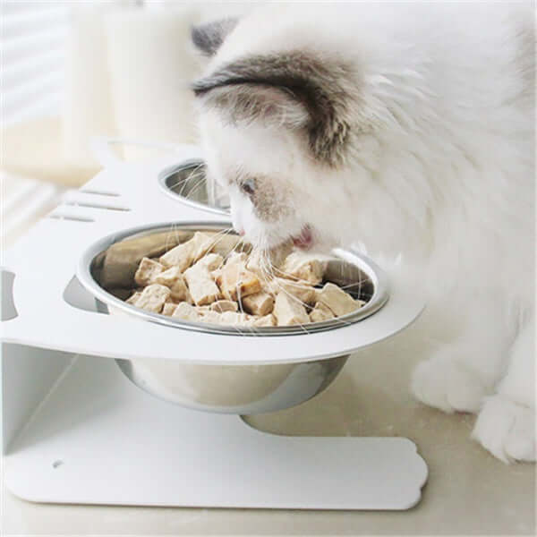 droppzza-anti-falling-cat-dog-feeding-water-bowl.jpg