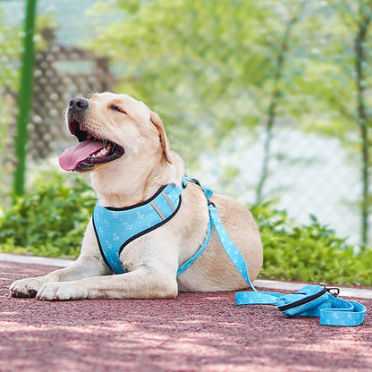 droppzza-pet-dog-leash-harness-with-bow-soft-breathable.jpg