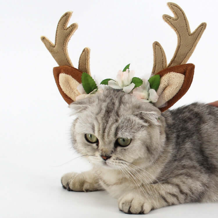 christmas-pet-cat-dog-hat-droppzza.jpg