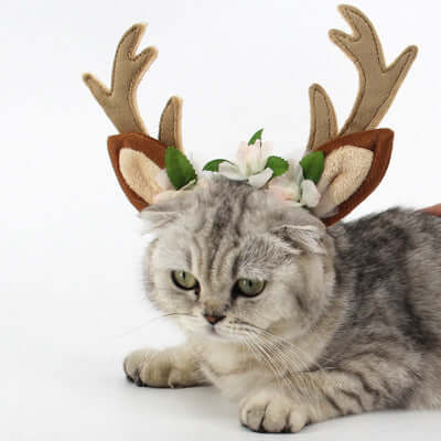 DROPPZZA christmas-pet-cat-dog-hat-droppzza.jpg