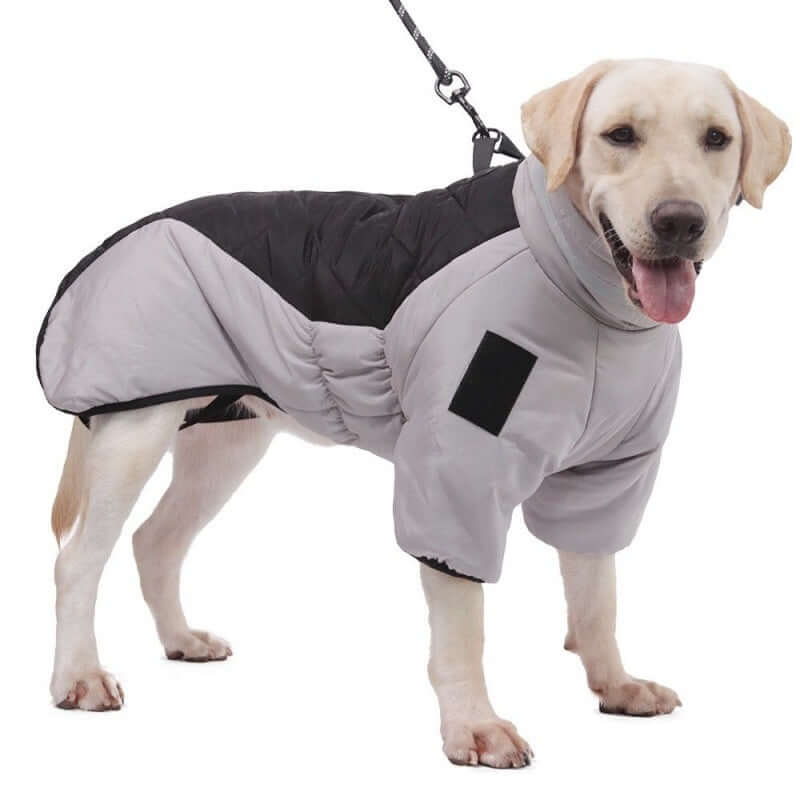 DROPPZZAwinter-waterproof-dog-coat-medium-large-thick-vest-trendzone.jpg